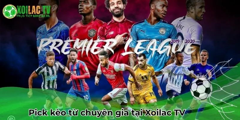 Pick kèo từ chuyên gia tại Xoilac TV