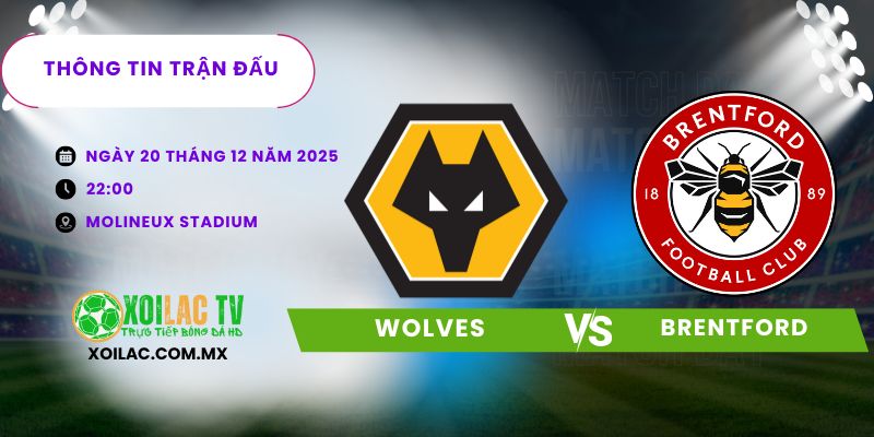 Thông tin trận đấu Wolves vs Brentford